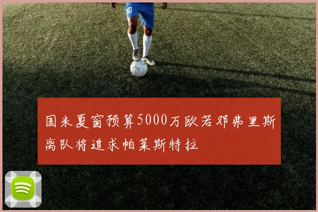 国米夏窗预算5000万欧若邓弗里斯离队将追求帕莱斯特拉